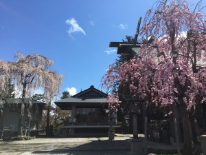 20200410 郡山市　開成山大神宮_200410_0003